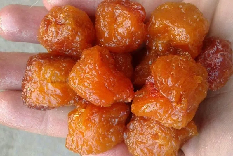 راهنمای خرید آلو بخارا ارگانیک + قیمت عالی