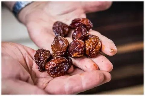 قیمت خرید آلو شابلون اختری + خواص، معایب و مزایا