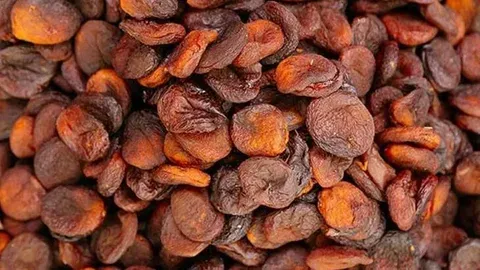 خرید آلو بخارا گوشتی + قیمت عالی با کیفیت تضمینی