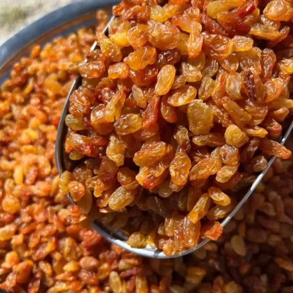 خرید آلو بخارا تازه با قیمت استثنایی